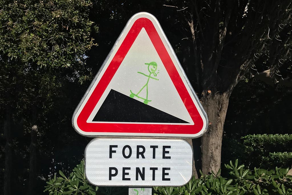 forte pente snack skateboards