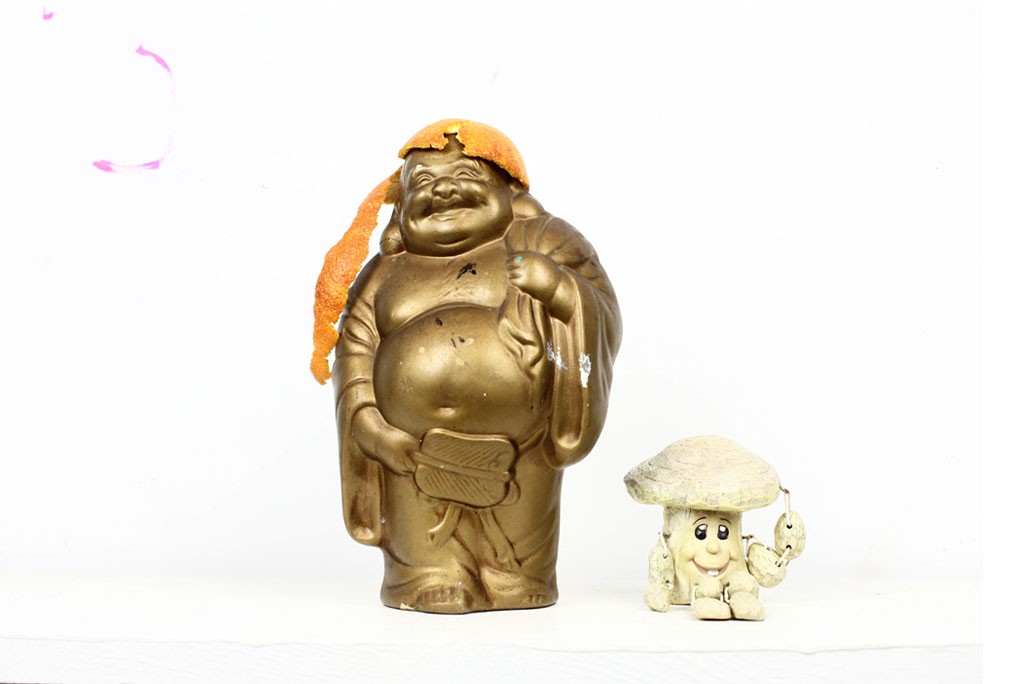 buddha shroom snack skateboads